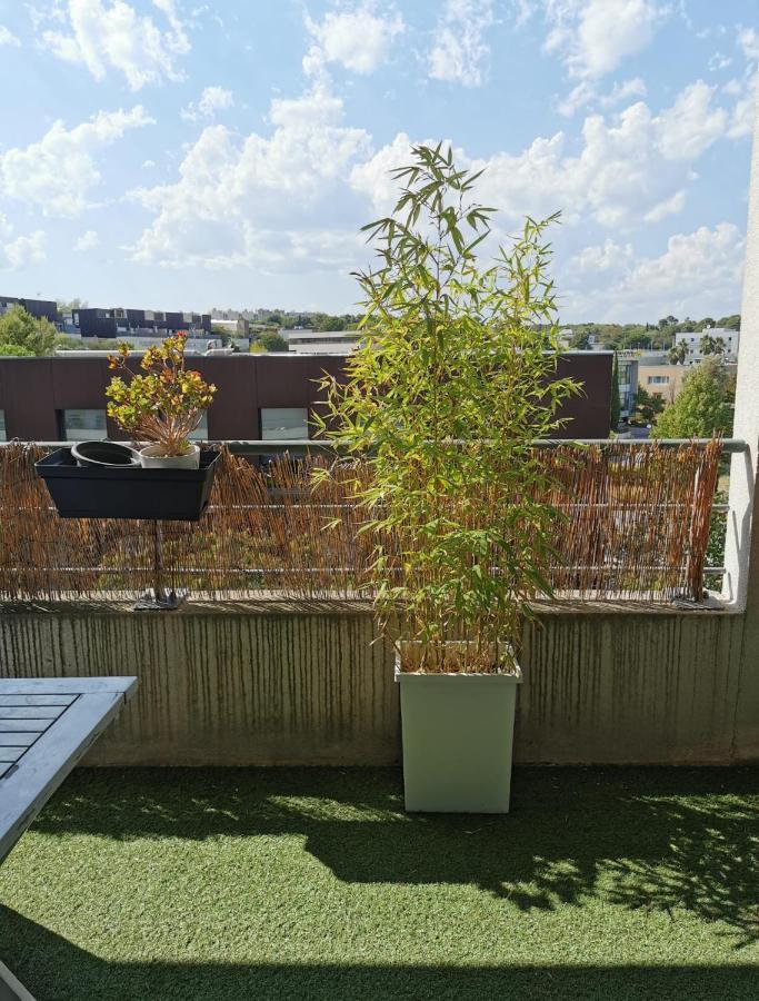 Appart T1Bis Malbosc Montpellier Exterior photo